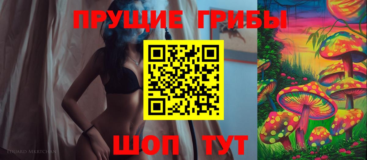 купить наркотик  Галлюциногенные грибы Psilocybine cubensis  Вход с VPN  Алексин 